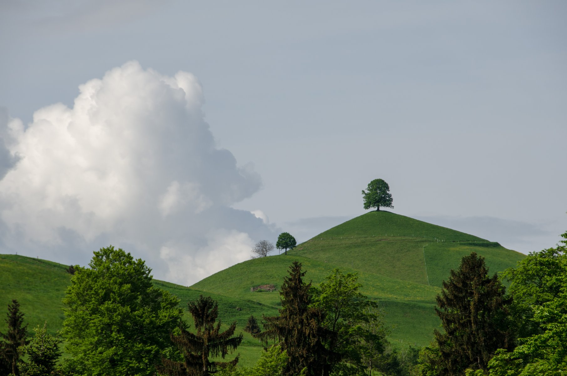 03 Drumlins