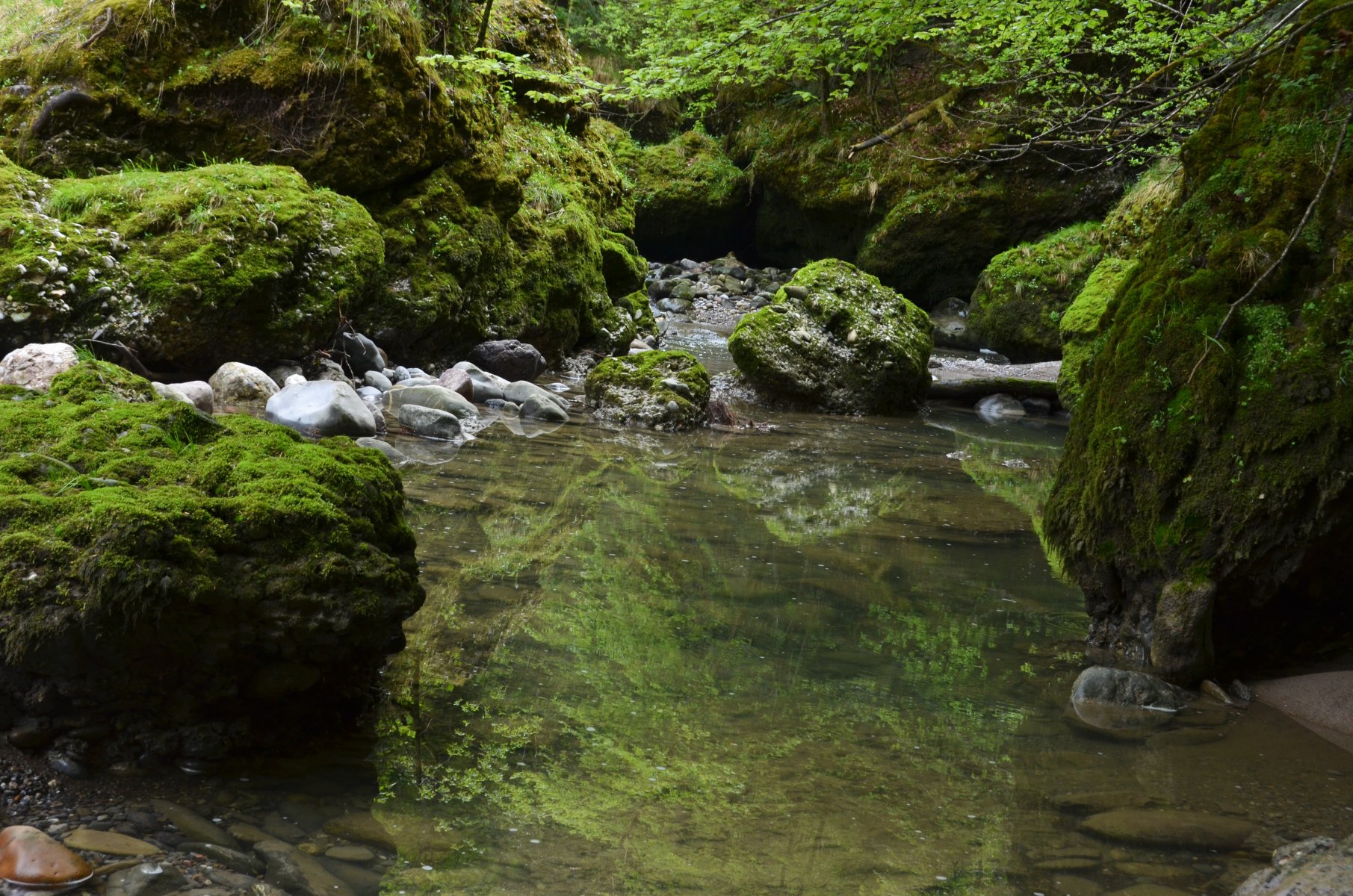 07 Natur Pur