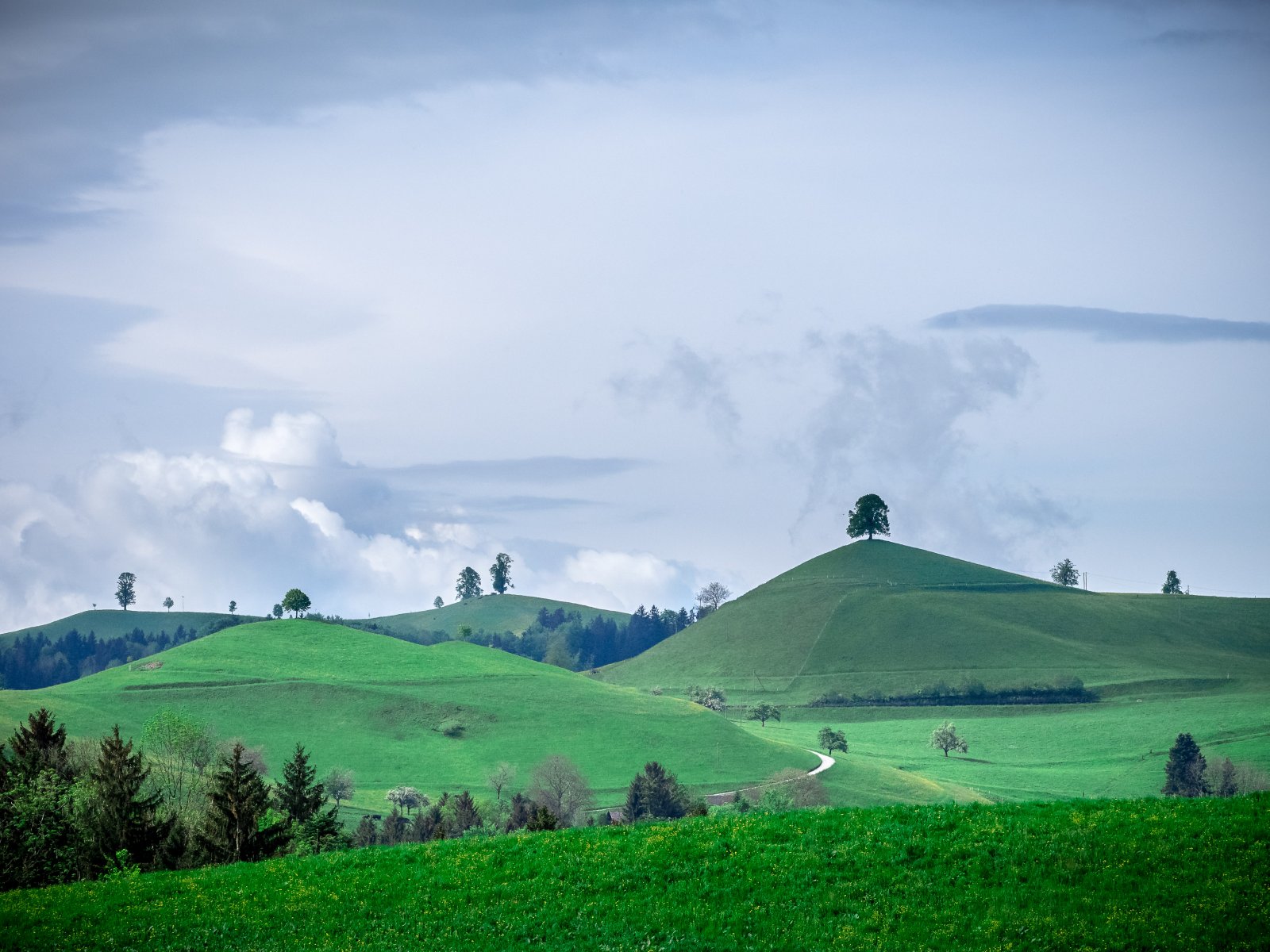 Martin Stepka - Drumlins