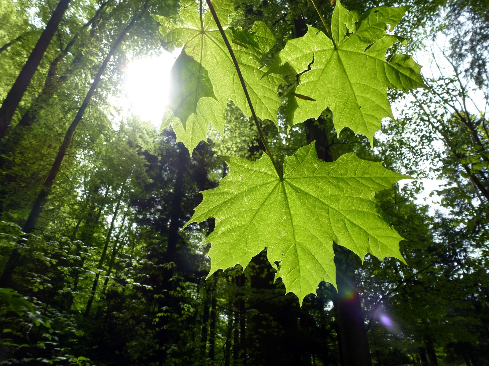 peter warth - licht-und-schatten