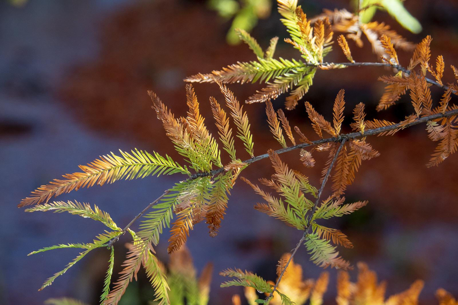 01 Farbe