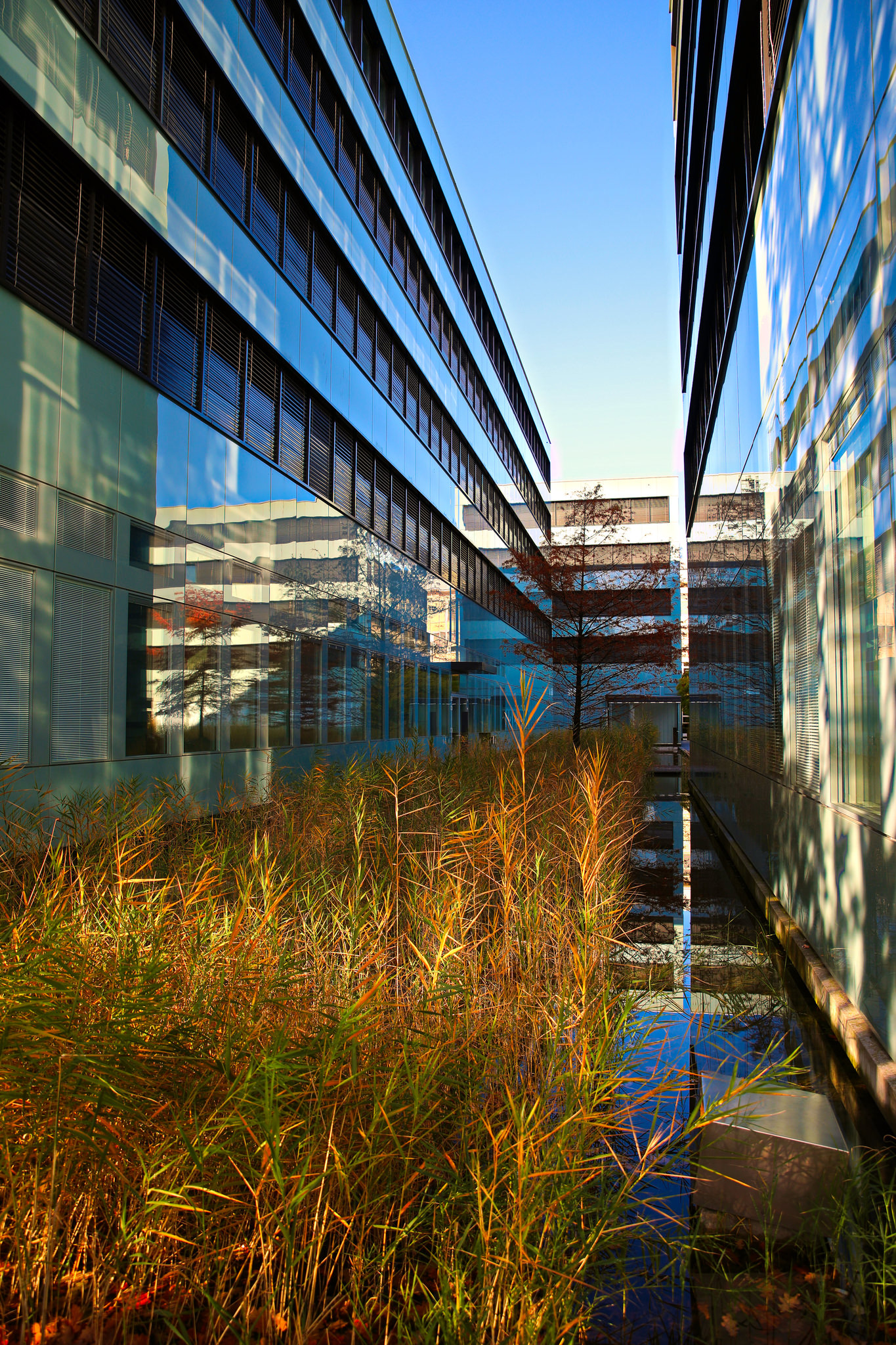 04 Urbane Wildnis
