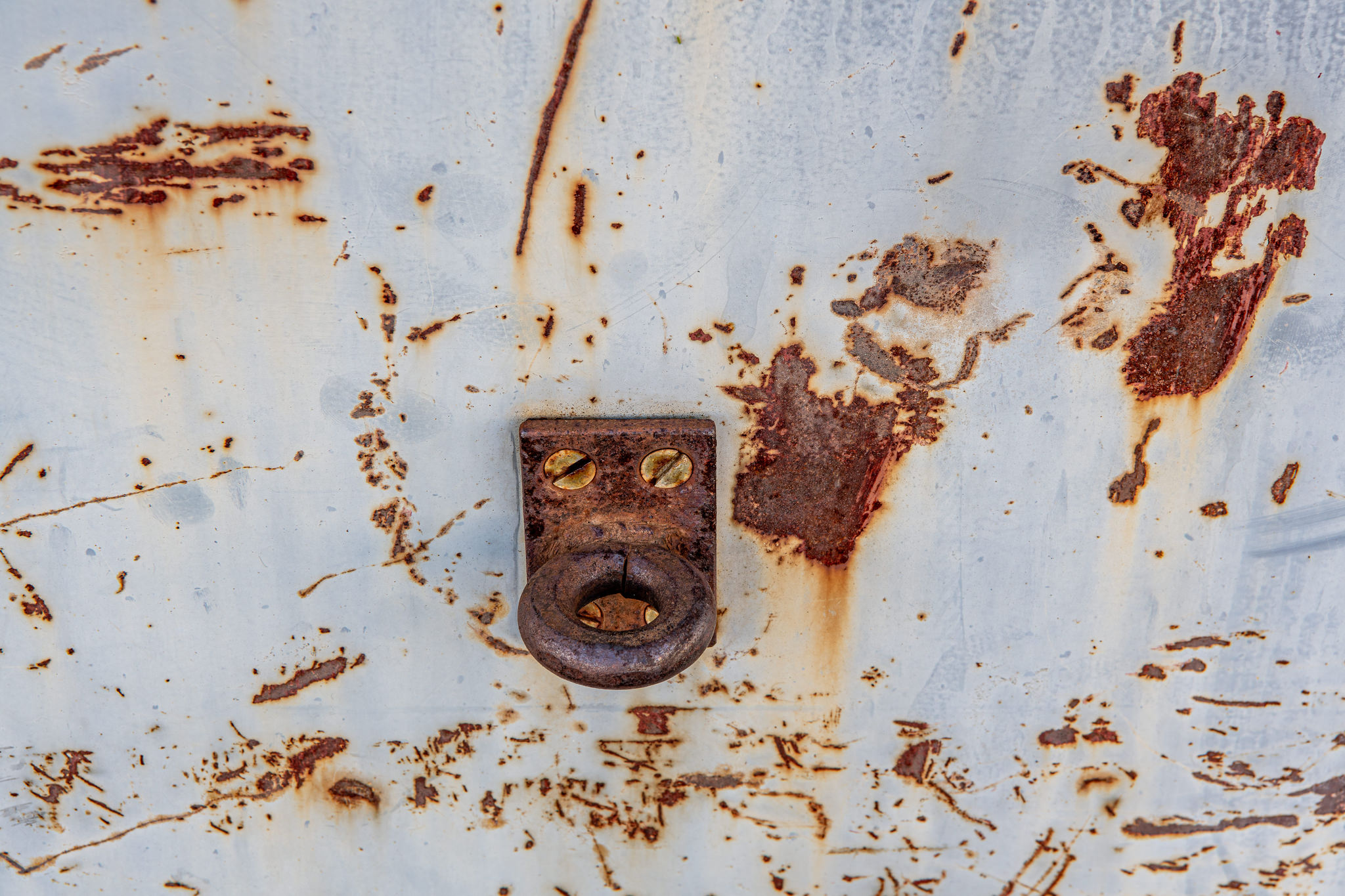 06 Rost