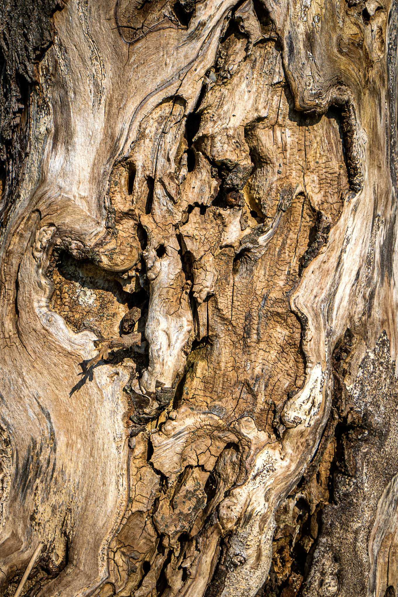 05 Holz